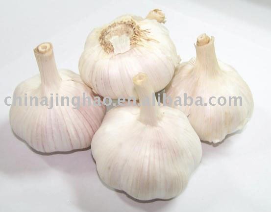 All Sizes Chinese Fresh White/Red Garlic