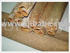 Tube cassia