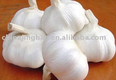 Normal Fresh Garlic
