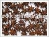  Star   Aniseed s with  stem 