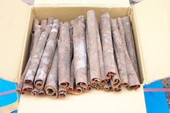 Vietnam Cassia