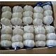 Farm Fresh Normal Garlic