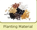  Medicinal  Plants   seed 