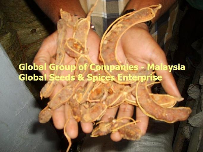 Tamarind With Seed