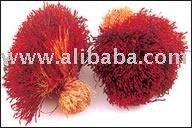 Saffron Type C(TIGHT)