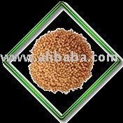 Yellow Mustard seed   Black BROWN Mustard Seed