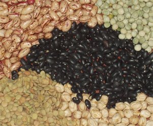 Ecuador Products