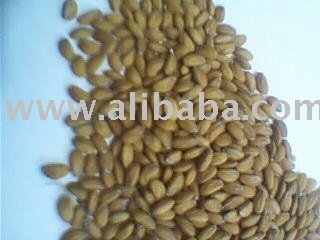 cress seed