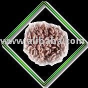 Psyllium Husk