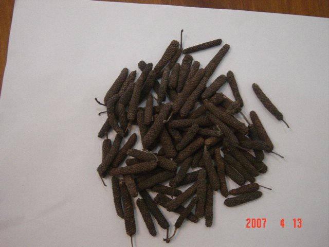 Long Pepper