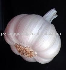 Chinese  top   quality   garlic 