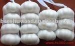 White Garlic of all Size