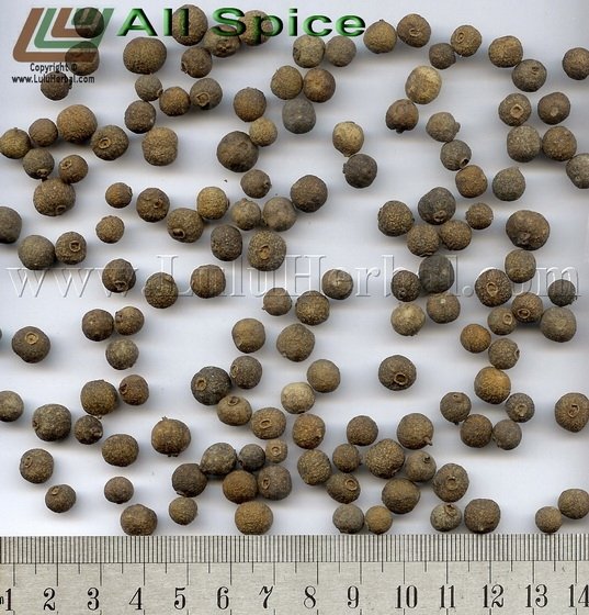  All   Spice 