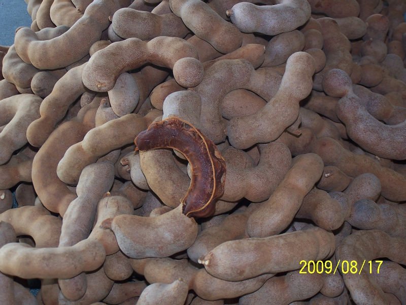 Sweet Tamarind