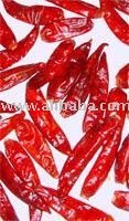 DRY RED CHILLI