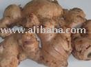 Ginger Root
