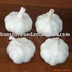 Offer  2010  Execllent  Pure  White  Garlic 