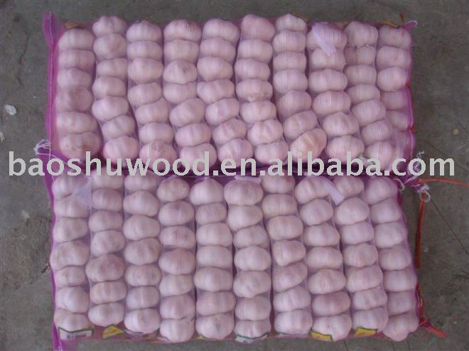 Pure White Garlics (20kg mesh bags)