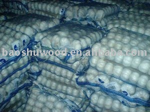 Pure  White  Garlics (20kg mesh bag )