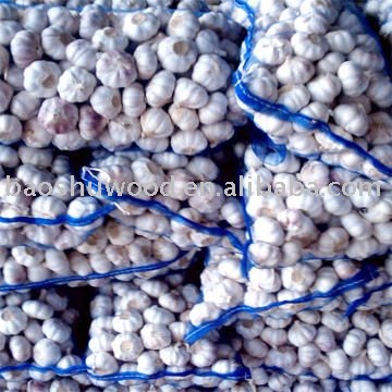 Red  Garlics (20kg mesh bag)