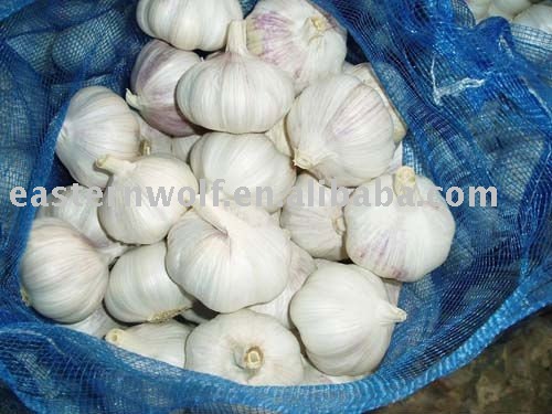 New Crop Fresh Chinese Garlic in Mesh Bag Package