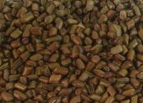 Cassia Seed 50mt, pesticide  free 
