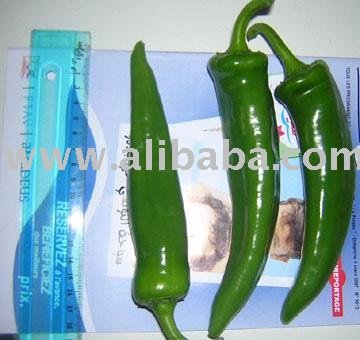 Hot Chili Pepper