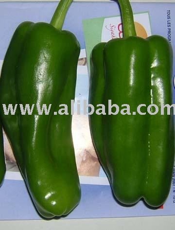 Capsicum Green Pepper