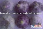 Jiangsu  Garlic  of  all   Size 