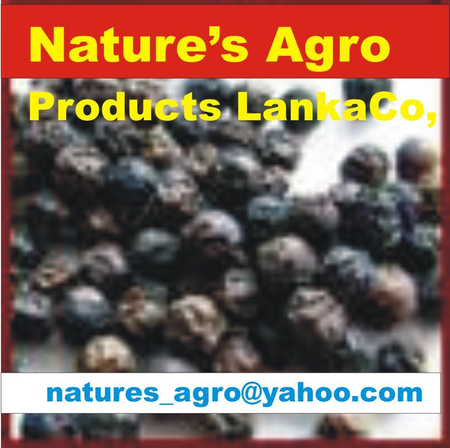 Pure Ceylon BLACK PEPPER  from Sri Lanka