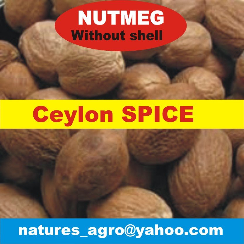 NUTMEG - Without Shell from Sri Lanka