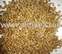 Ground coriander