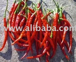 Indian Red Chillies