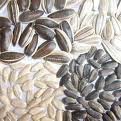 sunflower seeds