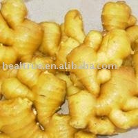Curcumin