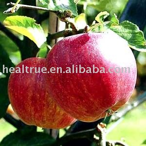Apple vinegar powder