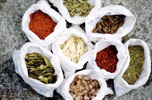 Dehydrated/ Freeze Herbs