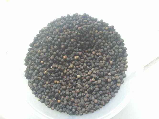 indonesia black pepper