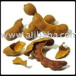  Tamarind 