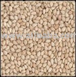 Natural Sesame Seeds