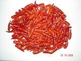 dried small chilli