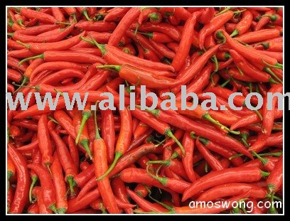 Sell Red Chilli From Vietnam