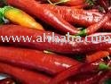 chilli pepper