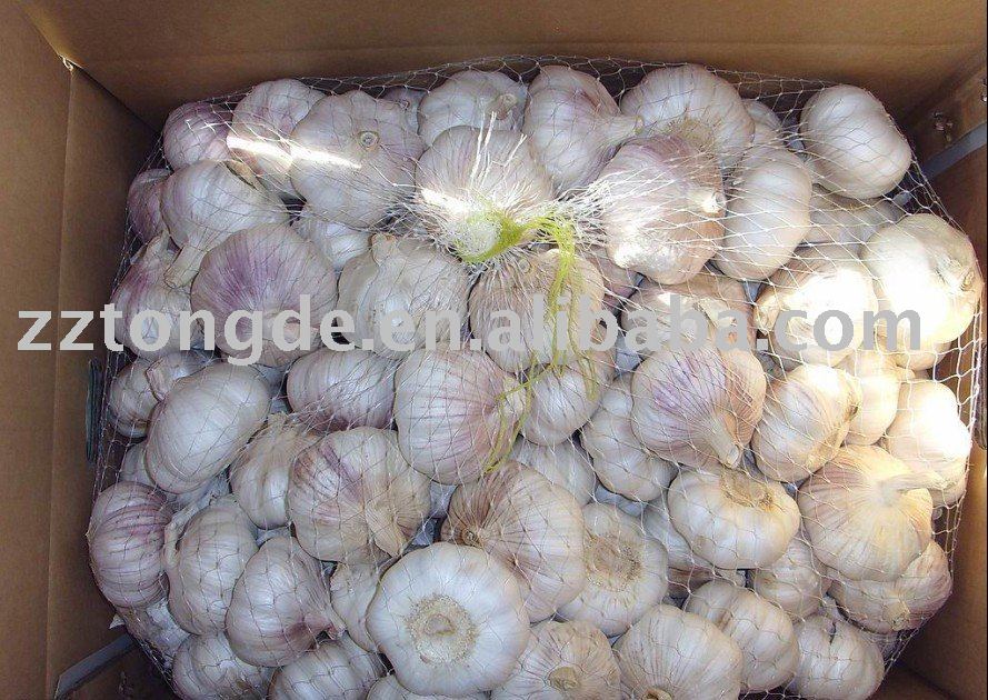 sell  2010   fresh   garlic 