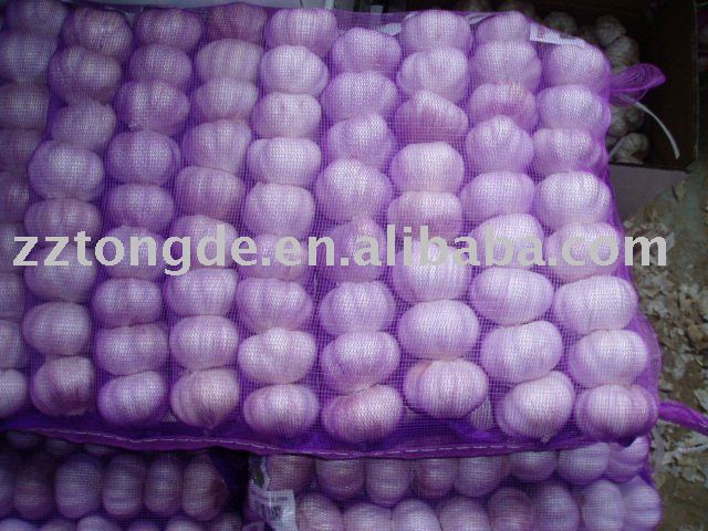 garlic 2010 