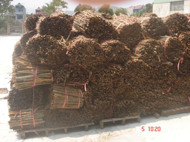 SPLIT CASSIA spice