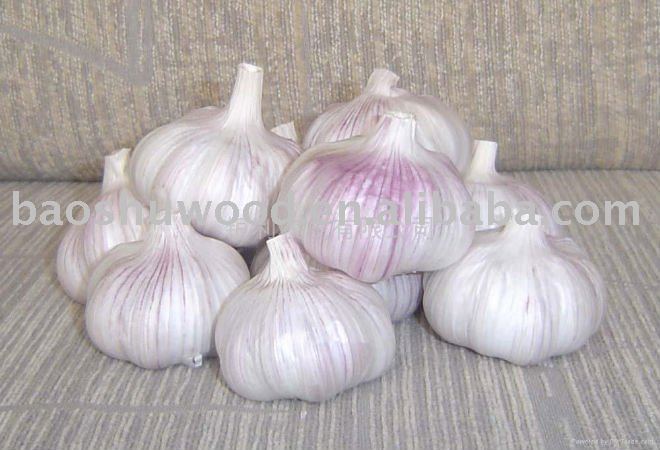  2011   new     garlic 