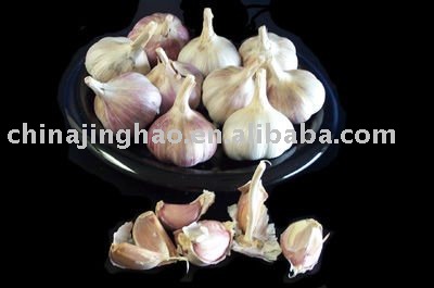 Top Grade - Jinghao China Fresh Normal and Pure White and Red Garlic