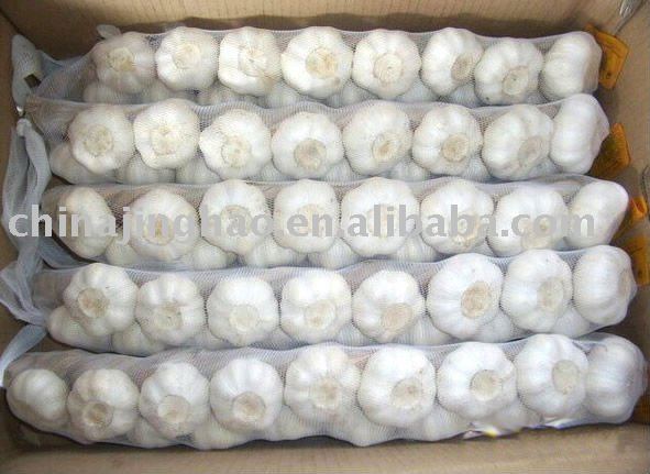 Smooth  Skin  - China Fresh Normal and  Pure  White and Red  Garlic 