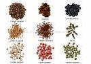spices, oil seeds, pulses,  food  grains and other  agro   products 